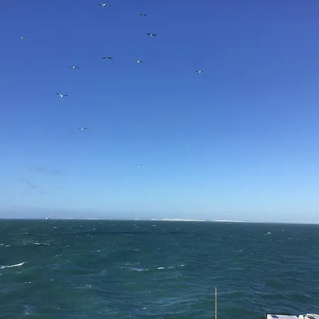 Vintage Caravane Les Attaques